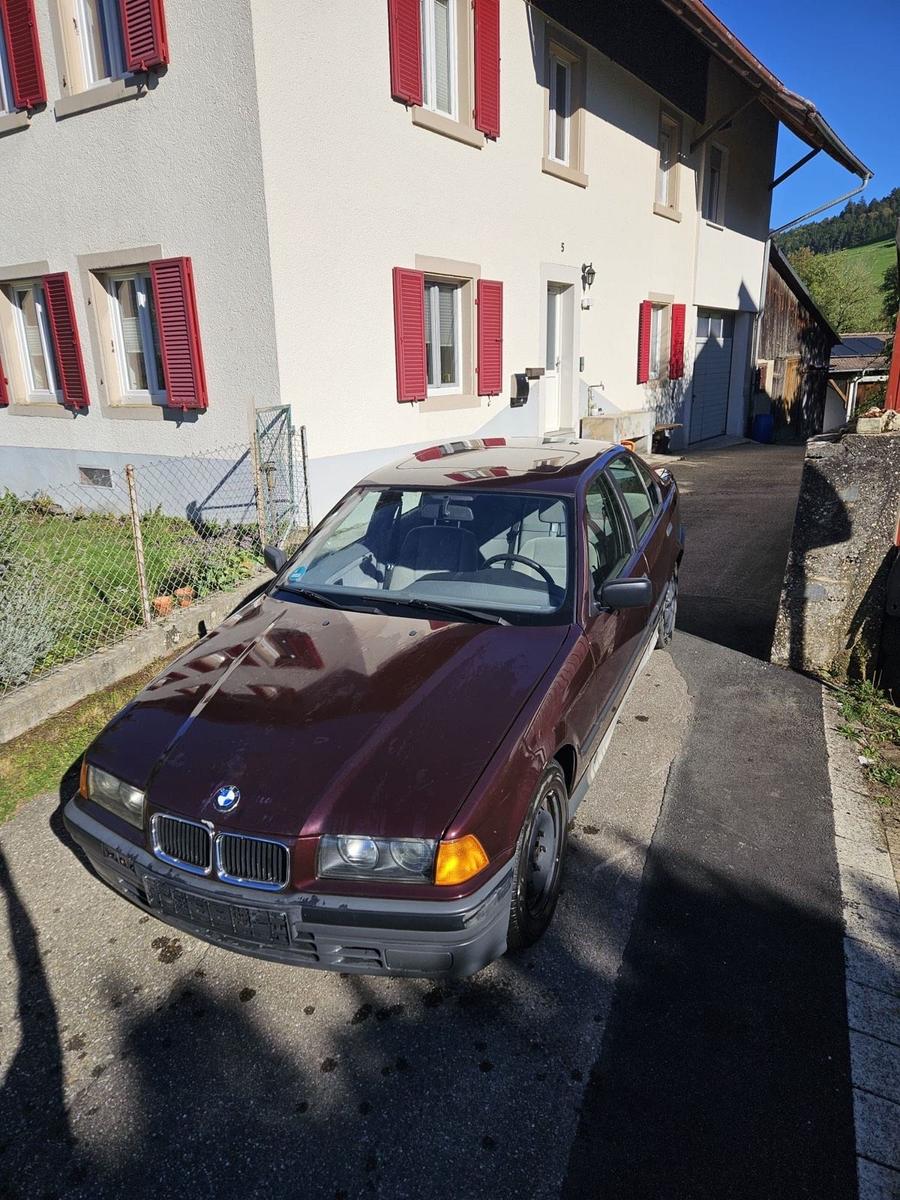 BMW 318