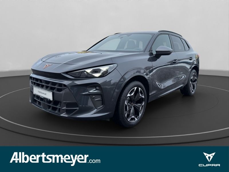 Image of Cupra Terramar
