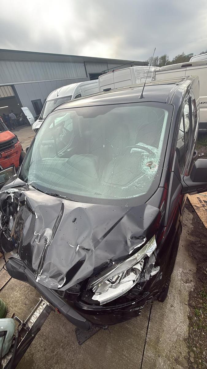 Ford Transit Custom Kasten 310 L2 Trend