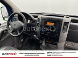 Mercedes-Benz Sprinter 516 *ThermoKing V200-MAX -20° Tief* - Angebote