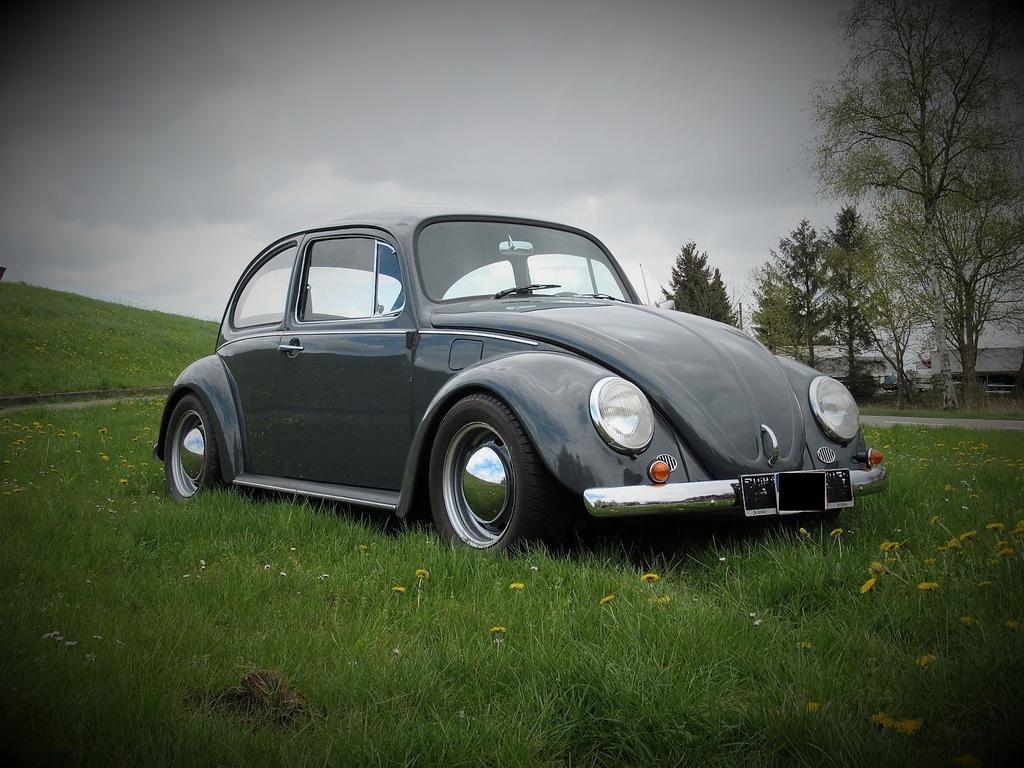 Volkswagen Käfer