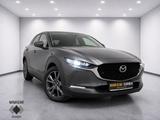Mazda CX-30 Selection AWD Navi/MemorySitze/LED/ACC/ElH - graue Mazda CX-30