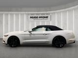 Ford Mustang Convertible 2.3 EcoBoost | Navi | RFK - Ford Mustang: Cabrio