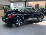 Volkswagen Beetle Cup BMT Navi PDC FenderSound SHZ - Volkswagen Beetle mit Diesel-Antrieb: Cabrio