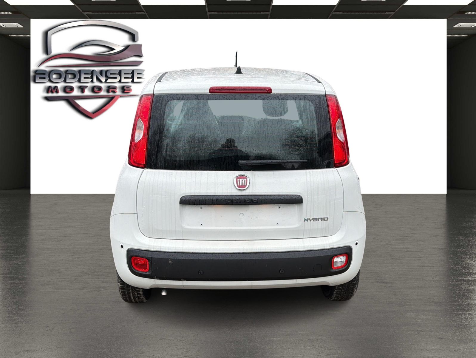 Fahrzeugabbildung Fiat Panda Pandina Icon