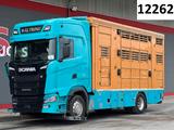 Scania S500 4x2 LL 3.Stock Finkl Viehwagen *unfall*