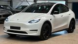 Tesla Model Y Performance Dual AWD - Tesla Model Y: Performance