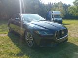 Jaguar XF P250 R-DYNAMIC SE Automatik R-DYNAMIC SE - Jaguar XF R mit Benzin-Antrieb