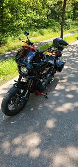 Harley-Davidson Low Rider ST 117- Special Umbau mit Don perf. - Harley-Davidson Low Rider ST