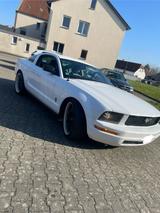 Ford Mustang 2005 3,7l V6 - Ford aus 2005: Coupe