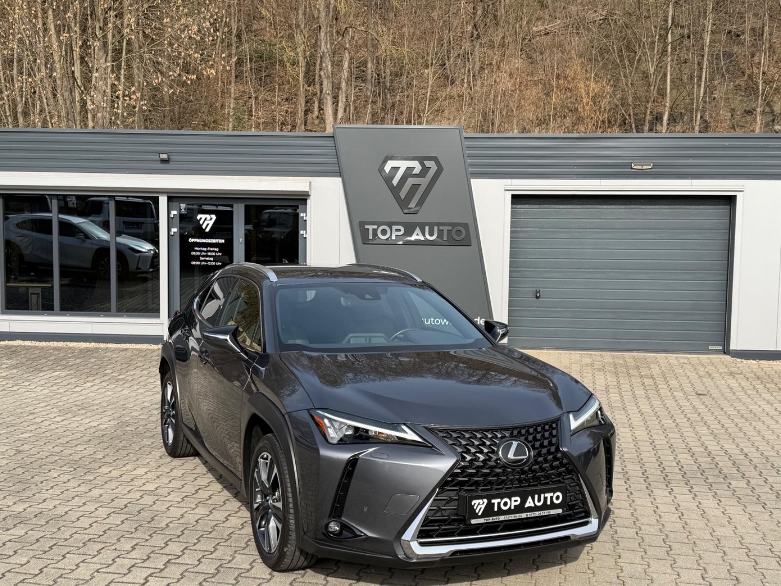 Lexus UX 250 h Style.LED.ACC.Kamera.