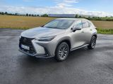 Lexus NX 450h 450h+ E-FOUR Business Line Business Line - Lexus NX 450h Gebrauchtwagen