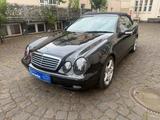 Mercedes-Benz CLK 230 KOMPRESSOR ELEGANCE - Mercedes-Benz CLK 230 Gebrauchtwagen