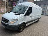 Mercedes-Benz Mercedes Benz Sprinter Maxi 313 - Mercedes-Benz Sprinter: 313 Maxi