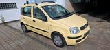 Fiat Panda * LPG Gasanlage * 1. Hand - Fiat Panda mit LPG-Antrieb: Kleinwagen
