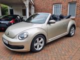 Volkswagen Beetle 1.8 TSI Cabrio+33.600km+Aut.+Leder+Klima+ - Volkswagen Beetle mit Benzin-Antrieb: 1.8