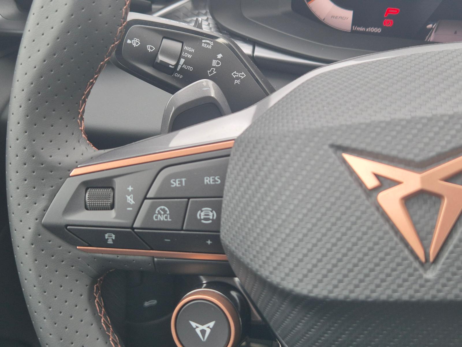 Cupra Terramar 16V TSI 2.0 TSI 195 kW 4Drive VZ AHK, миниатюра 28