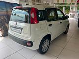 Fiat Panda (Pandina) 1.0 GSE Icon Hybrid - Fiat Panda in Hagen