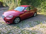 Lexus IS 200 200t Executive Line Automatik Executi... - Lexus: Is