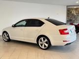 Skoda Octavia Lim. 1.6 TDI Elegance|PANO|ACC|MEMORY| - Skoda: 1.6