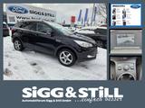Ford Kuga 1.5 EcoBoost Titanium NAVI*EL-KLAPPE*SHZ*PD - Ford Gebrauchtwagen in Augsburg