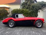 Austin Healey 3000 MK1 komplett restauriert  - Austin Healey: Mk1