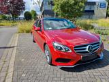 Mercedes-Benz E 500 AVANTGARDE AVANTGARDE - Mercedes E 500 mit Anhängerkupplung