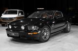 Ford Mustang GT 4,6L V8 224Kw/300Zs - Ford Mustang mit Benzin-Antrieb: Limousine
