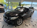 BMW 218 Baureihe 2 Cabrio 218 i Advantage - BMW 218 mit Benzin-Antrieb