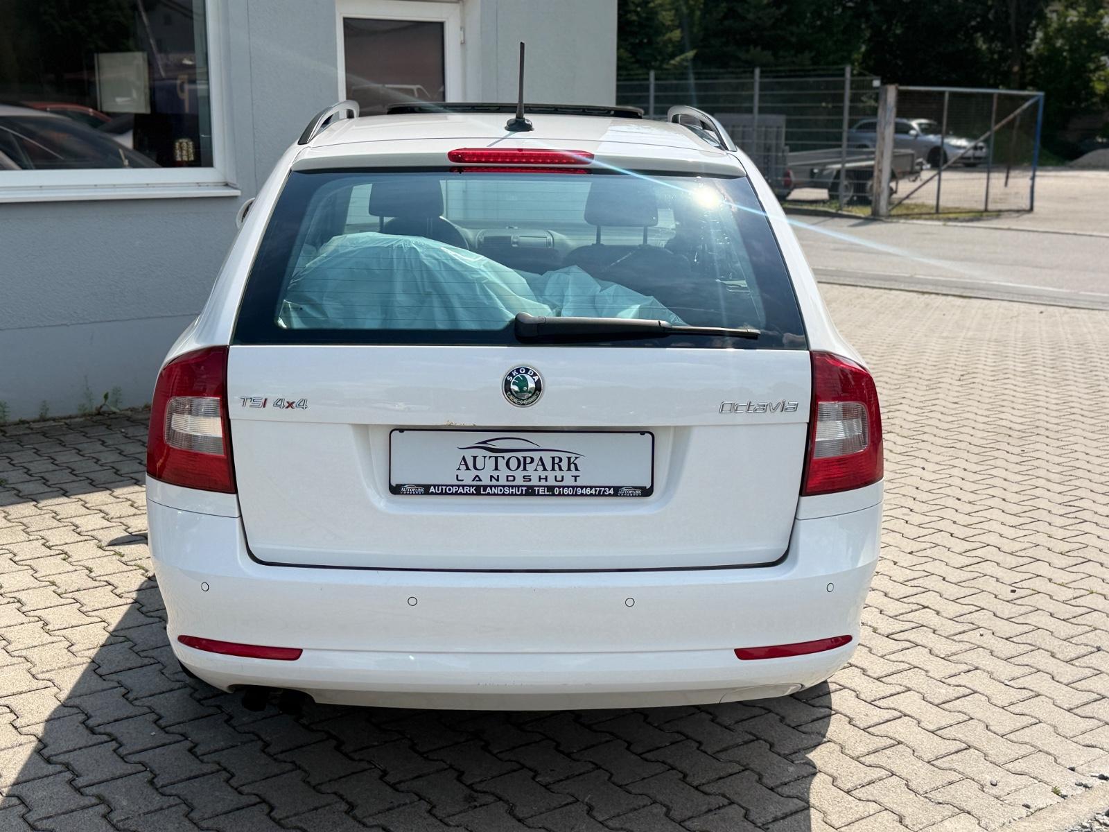 Skoda Octavia 2012 — photo 6