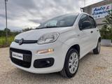 Fiat Panda 0.9 TwinAir Natural Power anno 2019 - Fiat Panda: Natural Power