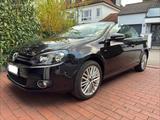 Volkswagen Golf 1.4 TSI Cup Cabrio TÜV/Service NEU - : Cabrio, Service