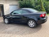 Volkswagen Eos 1.6 FSI Standard - Volkswagen Eos: Standard
