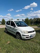 Fiat Panda 1.1 - Fiat Panda Gebrauchtwagen in Karlsruhe