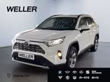 Toyota RAV 4 2.5 Hybrid 4x2 Team D *Technik Paket*RCam*