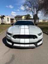 Ford Mustang  5.2L GT350 Shelby,392kw,RECARO - Ford Mustang: Shelby Gt350
