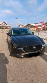 Mazda CX-30 2.0 e-SKYACTIV-G M-Hybrid 150 Homura H... - Mazda CX-30 von privat