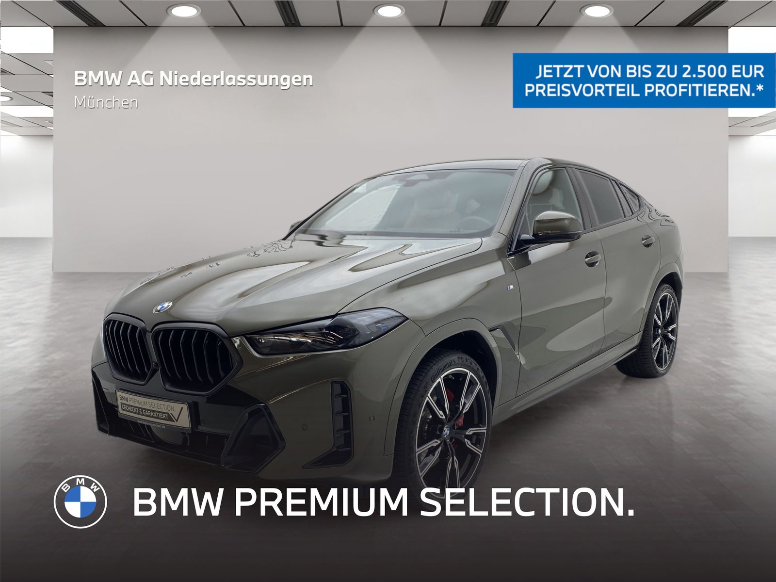 BMW X6 xDrive30d M Sport Standheizung AHK Harman/K