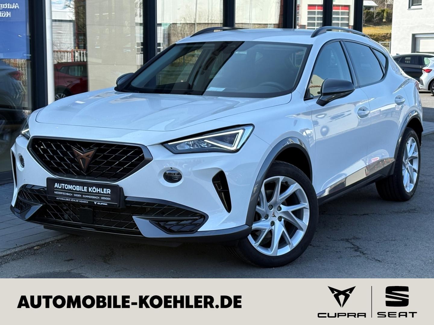 Cupra Formentor 1.5 TSI Full Link, Winter-Paket