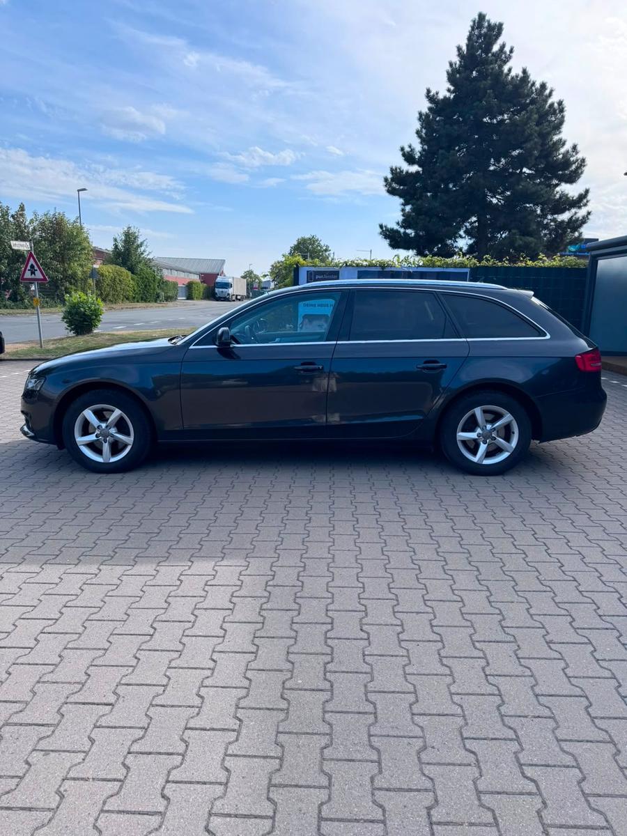 Audi A4 2010 — photo 6