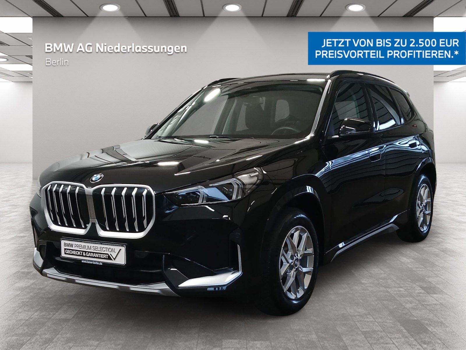 BMW X1 sDrive20i xLine LED Navi AHK PA Kamera Alarm