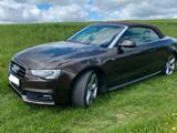 Audi A5 3.0 TDI S tronic quattro Cabrio, Aut,TOP,Chip - Audi A5: Braun, Leder
