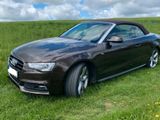 Audi A5 3.0 TDI S tronic quattro Cabrio, Aut,TOP,Chip - Audi A5 mit Diesel-Antrieb: Cabrio