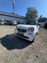 Smart ForTwo fortwo cabrio Basis 66 kW - Smart ForTwo: Automatik