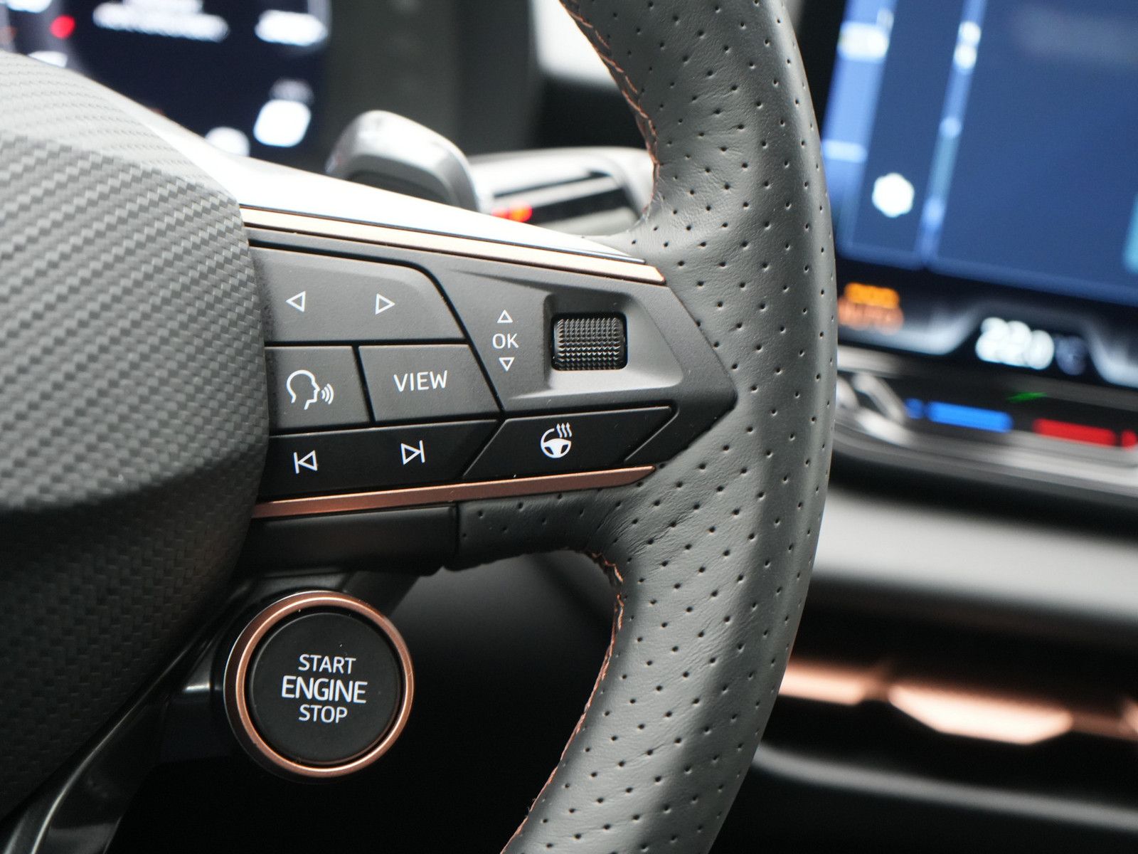 Cupra Terramar - Bild 6