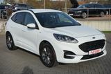 Ford Kuga 1.5 EcoBlue ST-Line VC 4xSHZ LHZ Navi Kamer - Ford Kuga mit Diesel-Antrieb