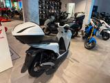 Honda SH125 2026 Cool White *sofort verfügbar* - HONDA ROLLER 125