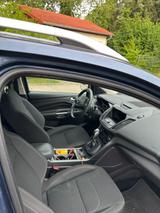 Ford Kuga 1,5 EcoBoost 4x2 110kW Trend Automatik ... - Ford Kuga: Trend 4x2