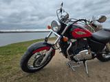 Honda Shadow  VT1100 SC 32, 18.000 km / TÜV 04/28 - Offers
