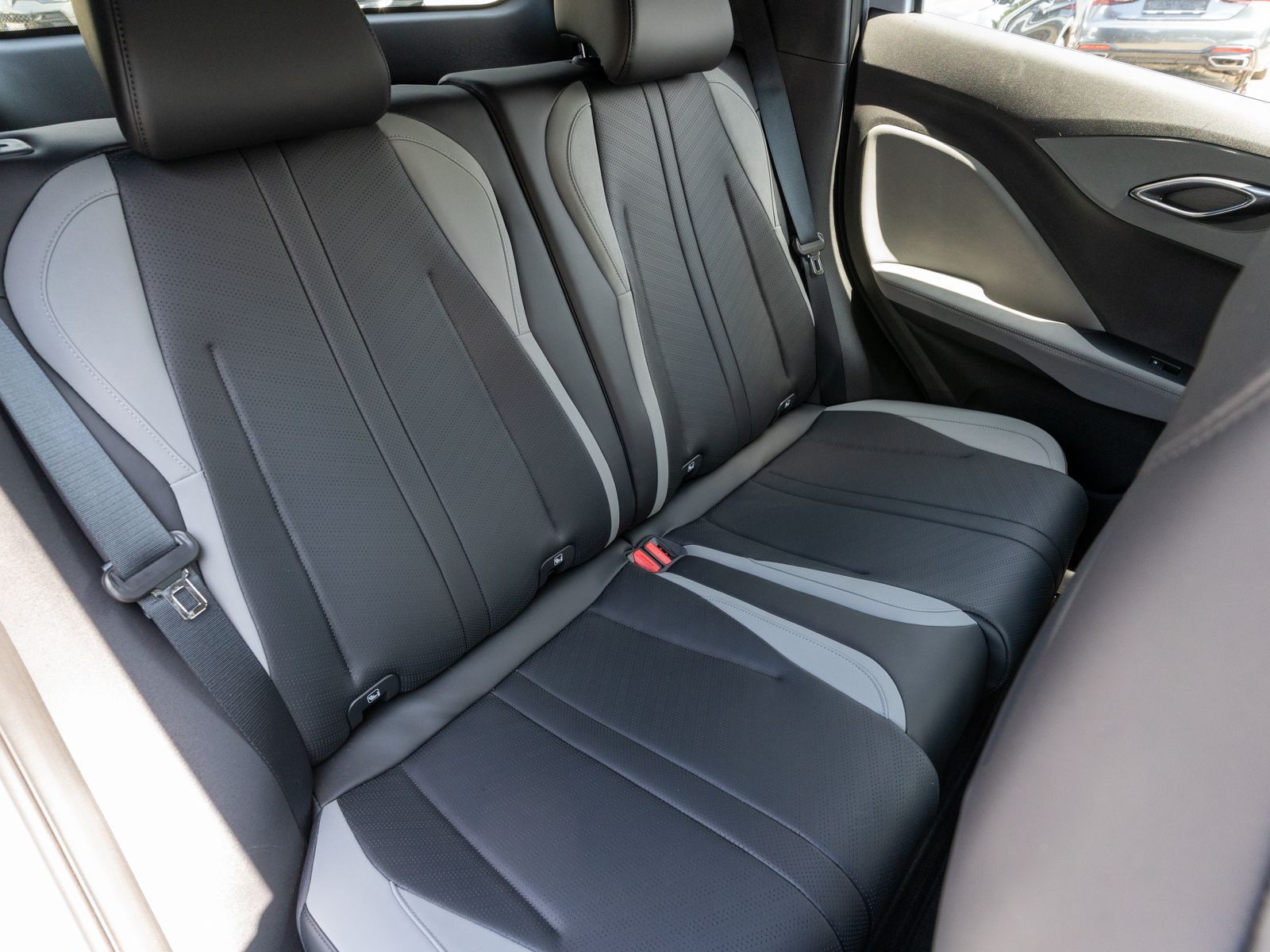 BYD DOLPHIN SURF